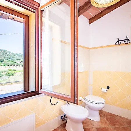 Apartament Is Carcuris